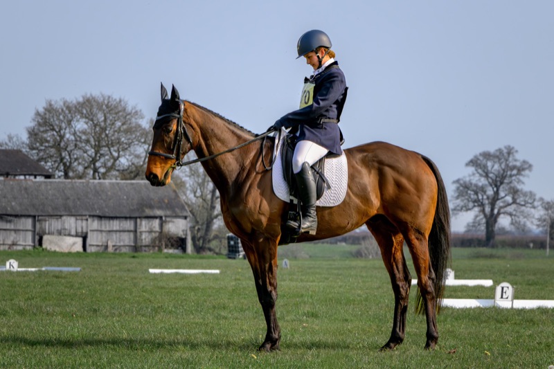 A woman dressed in riding attire and a helmet is sitting on a brown horse in a grassy field, with trees and farm buildings in the background.