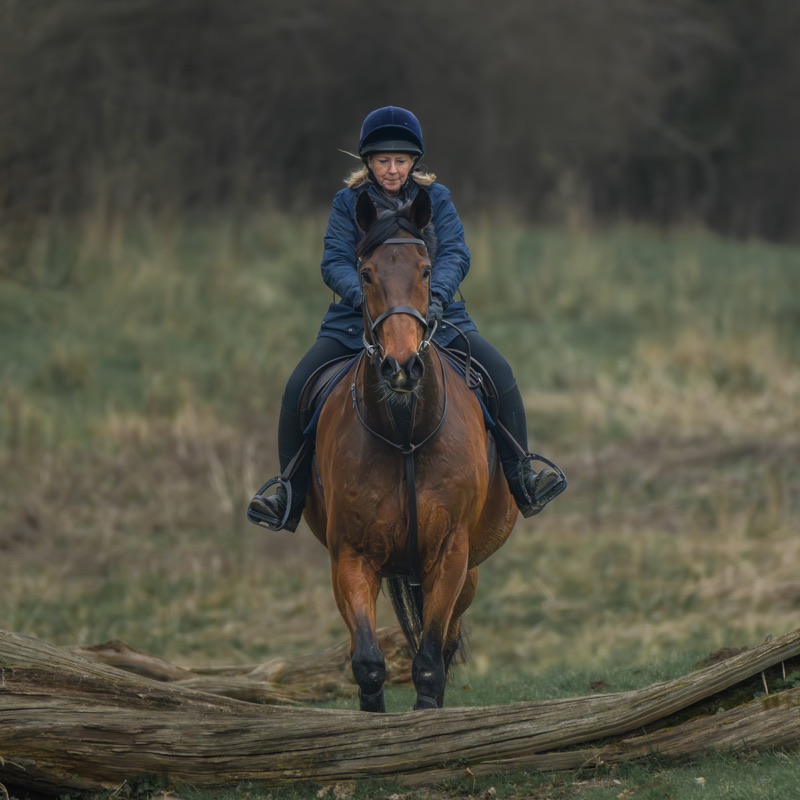 A woman wearing a helmet and riding a horse over a fallen log in a rural outdoor setting with a grassy field and trees in the background.