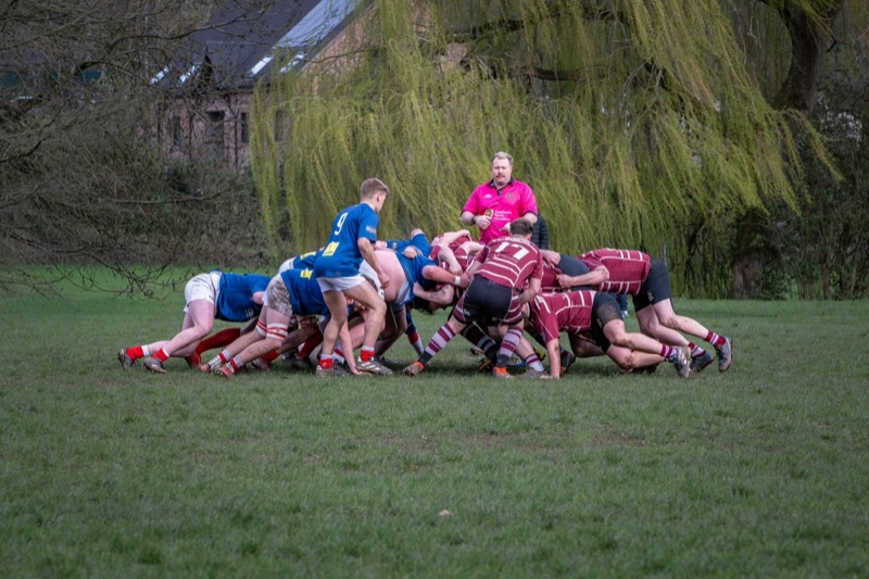 Rugby players engaging in a scrum on a grassy field with trees in the background.