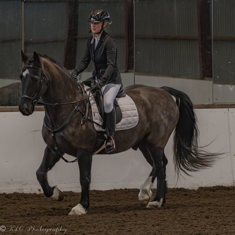 A female equestrian rider wearing a black helmet, black jacket, and white riding pants is riding a dark brown and white pinto horse indoors on a dirt arena, with a black wall in the background.