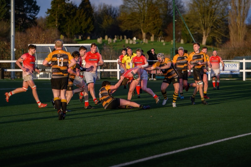 Rugby players in red and yellow uniforms involved in a game on a field with a fence and trees in the background.