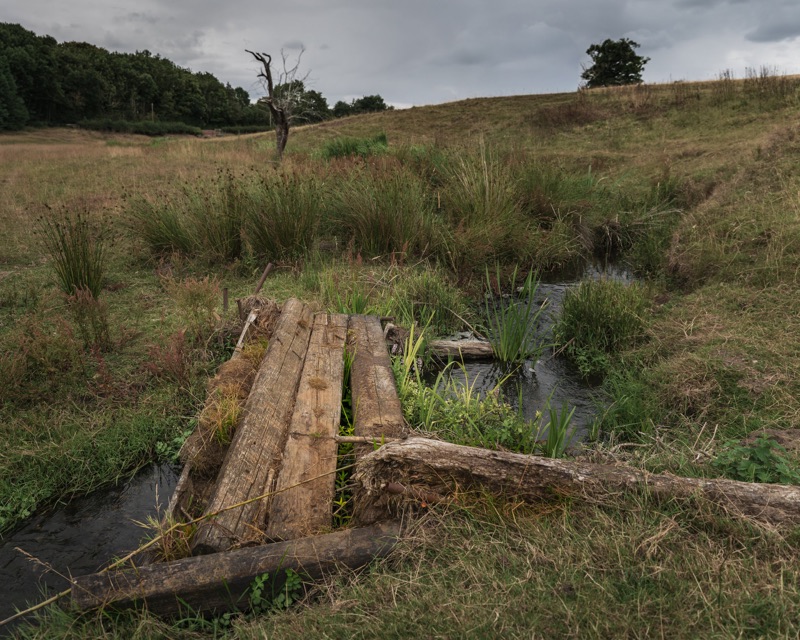 A small wooden footbridge crossing a narrow stream in a grassy field with bushes and trees, under a cloudy sky.