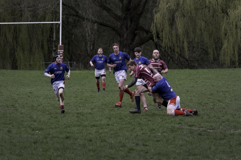 Rugby players in action on a grassy field, with one player tackling another while others run nearby, amidst trees in the background.