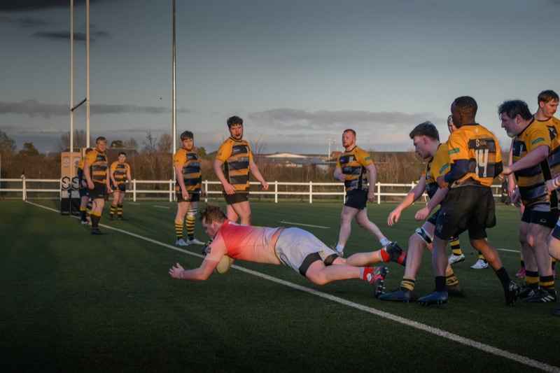Rugby players in yellow and black uniforms struggle for the ball on a grass field, some players are standing while another is falling.