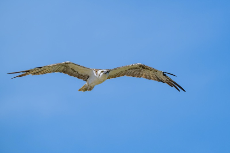 DSC_1381-001.jpg