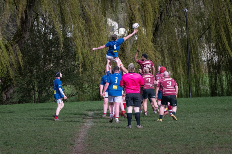 Rugby players participate in a line-out during a match, with an outdoor setting and trees in the background.