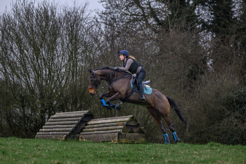 A person riding a horse over an obstacle during an equestrian jumping event, with trees in the background.