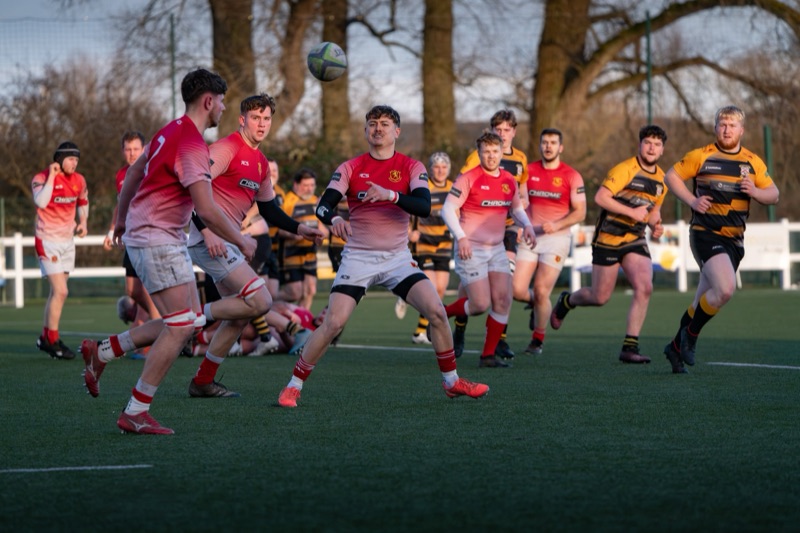 Rugby players in red and black, and yellow and black uniforms, on a field during a game, with a rugby ball in the air, trees in the background.
