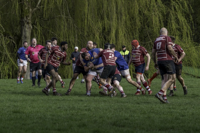 Rugby players in maroon jerseys tackling and running on a grassy field during a match, with a line of trees in the background.