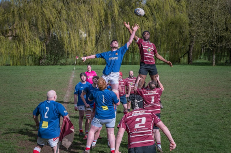 A rugby game in progress with players reaching for the ball in the air, team in blue and team in maroon jerseys, on a grassy field with trees in the background.