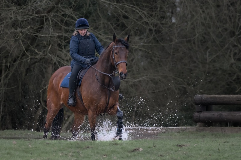 A woman riding a brown horse through water, with a forested background, during dusk or early evening.