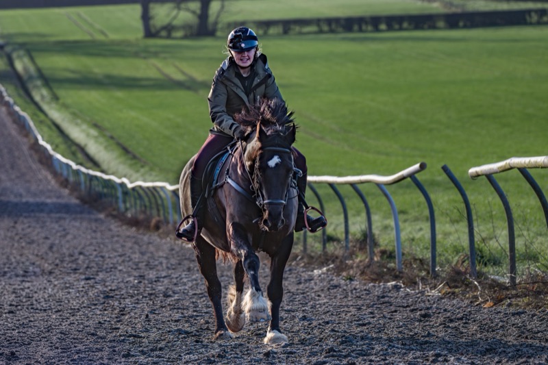 A girl riding a horse on a dirt track, wearing a helmet and jacket, with green fields and trees in the background.