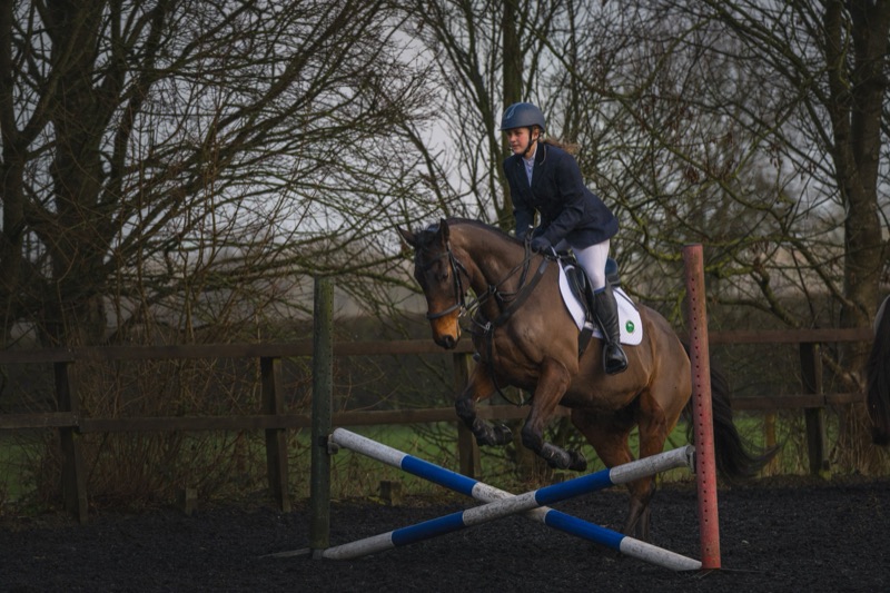 A woman riding a horse over a jumping obstacle in an outdoor equestrian arena with leafless trees in the background.