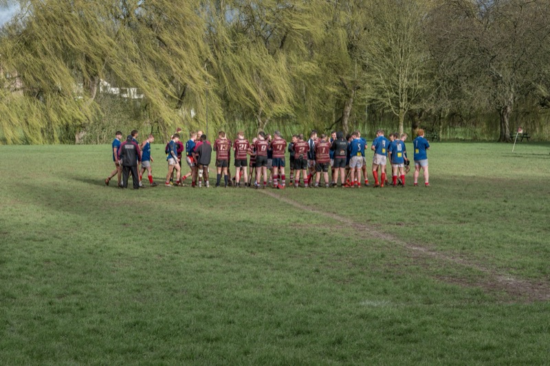 A group of rugby players standing on a grassy field, some are wearing maroon and blue jerseys, surrounded by trees with green leaves.