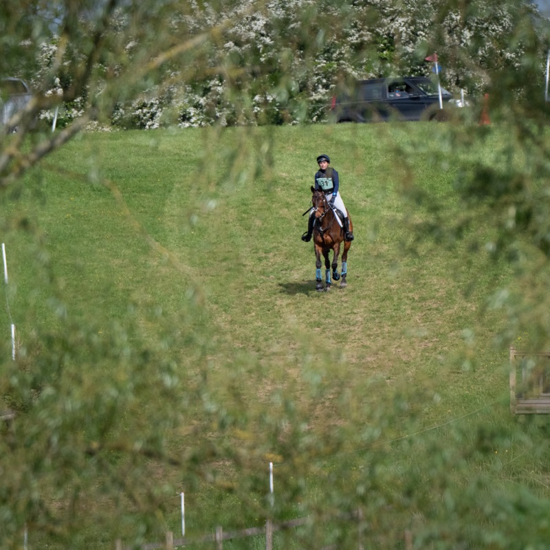 _0Z86611.jpg