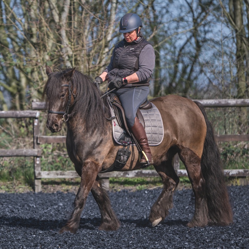 A woman riding a dark brown horse during the daytime, wearing a black helmet, black and gray riding attire, and gloves, with a background of leafless trees and a fence.