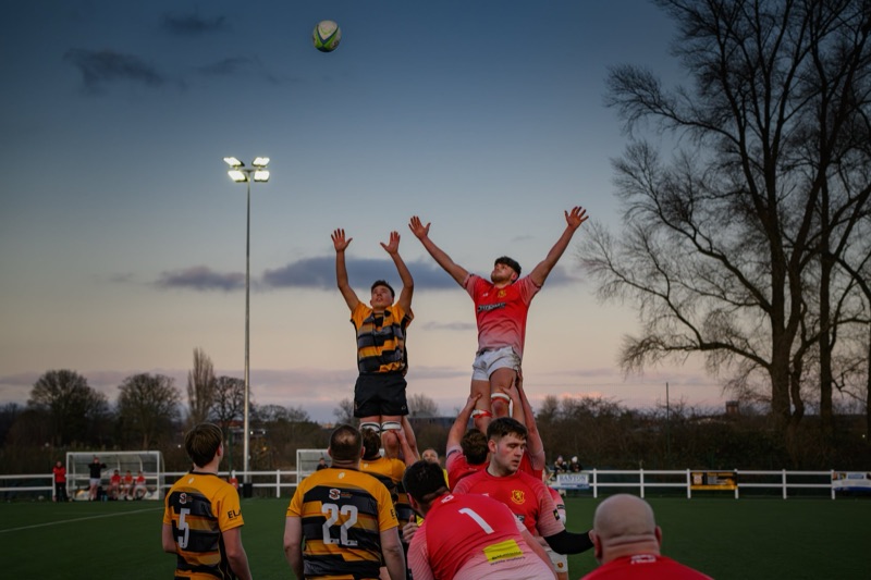A rugby lineout during a game at dusk with players forming a formation, a player in red being lifted, and a ball in the air, with trees and floodlights in the background.