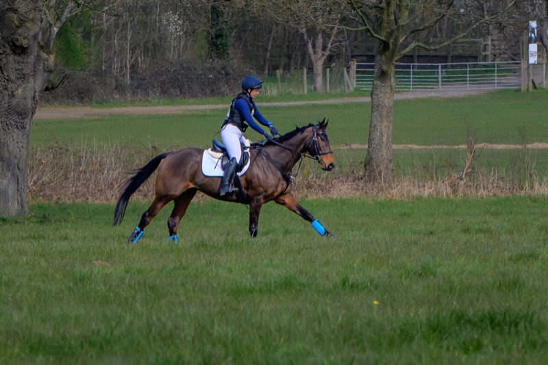 A rider wearing a helmet, blue jacket, and riding gear on a brown horse with blue leg wraps, riding through a grassy field with trees and a fence in the background.
