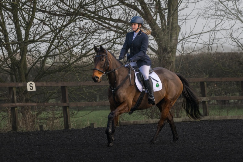 A female horseback rider riding a brown horse with a white saddle in an outdoor riding arena with a fence and leafless trees in the background.