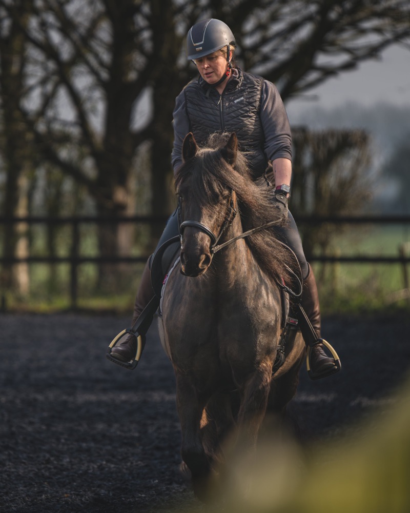 A woman riding a brown horse during sunset on a dirt field with trees in the background, wearing a black helmet, a black quilted vest, and gray long-sleeve shirt.
