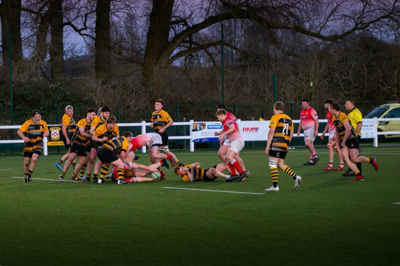 Rugby players in black and yellow stripes and red uniforms competing for the ball on a green field during dusk, with trees in the background.