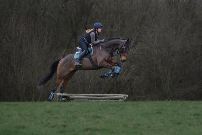 A woman riding a galloping brown horse over a jump in a field with a background of leafless trees.