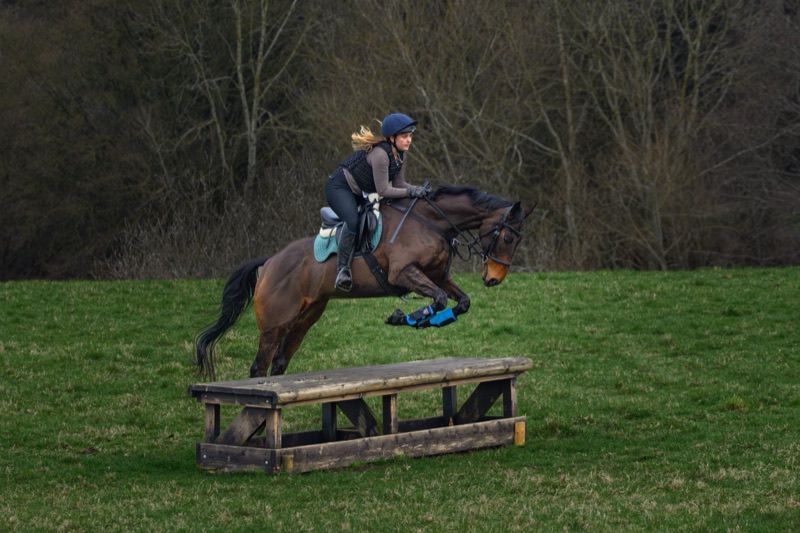A woman riding a brown horse jumps over a wooden obstacle in an outdoor setting with trees in the background.