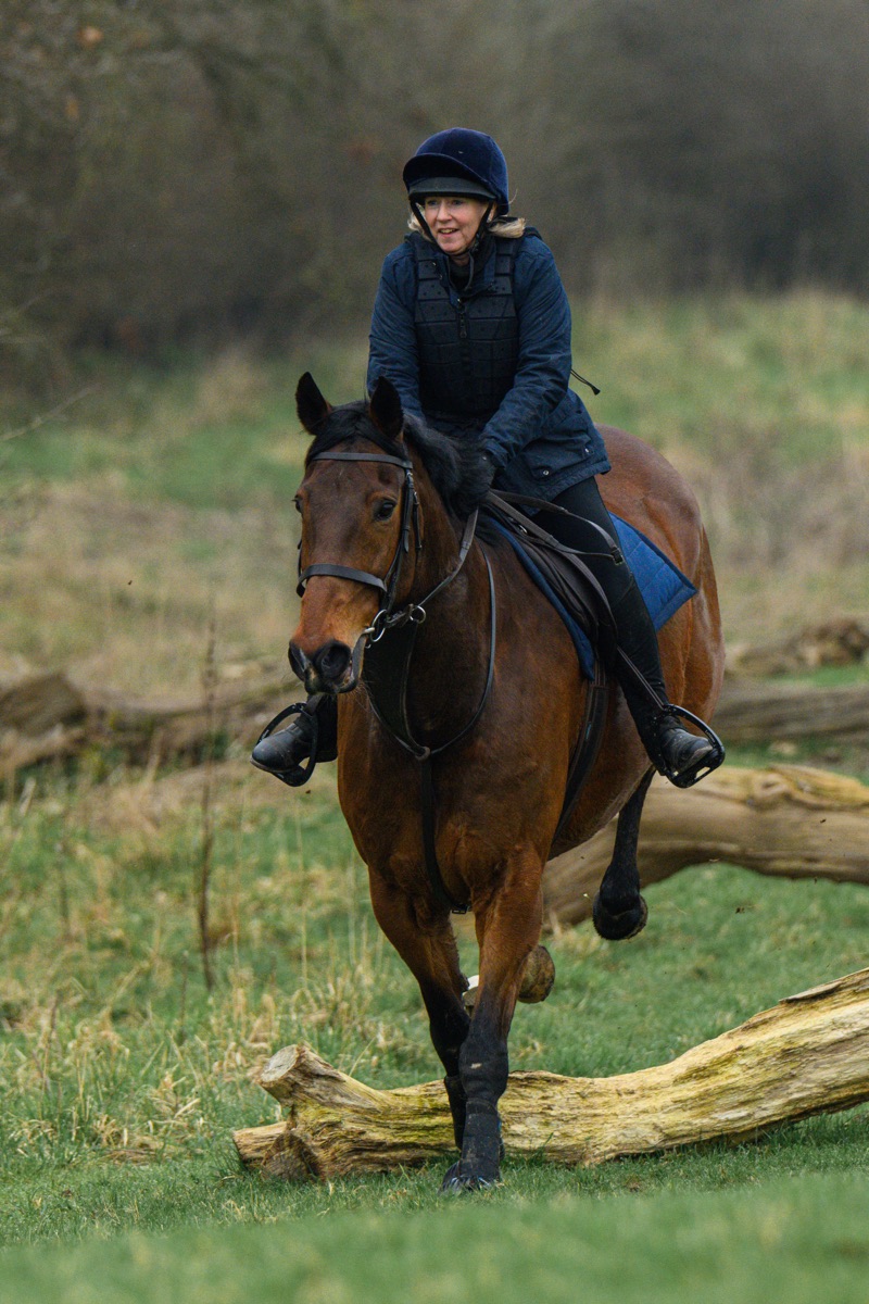 A woman riding a brown horse over a log in a grassy area surrounded by trees, wearing a navy helmet and jacket, and black riding gloves.
