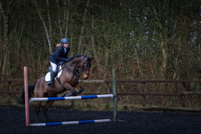 A young woman riding a horse over a show jumping obstacle on an outdoor riding arena, with a dense wooded background.