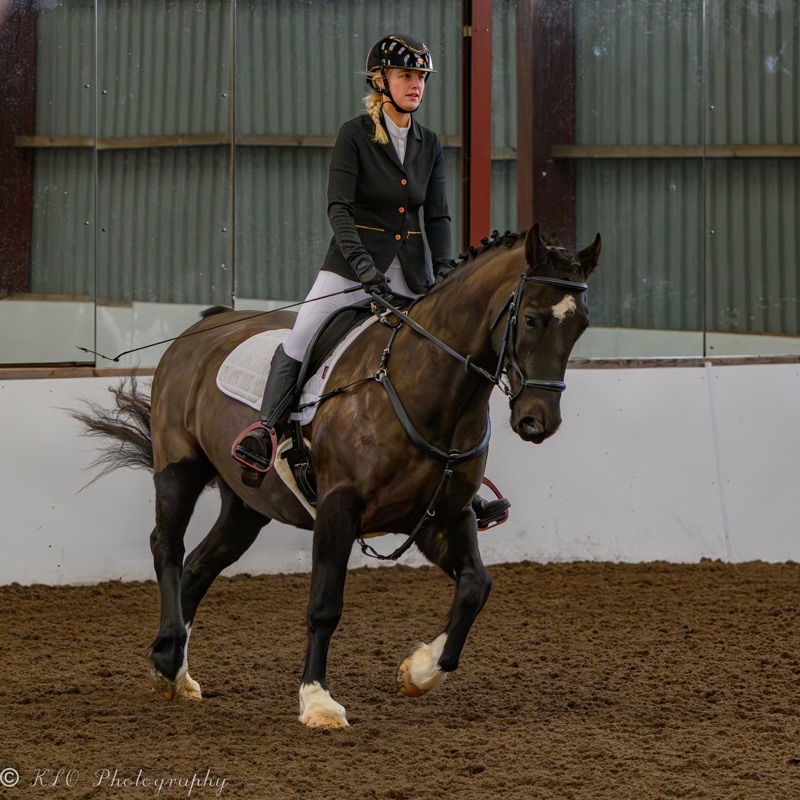 A female equestrian rider wearing a black helmet, black riding jacket, white pants, and gloves sits on a brown horse with white markings on its face and legs inside an indoor riding arena with a brown dirt surface and corrugated metal walls.