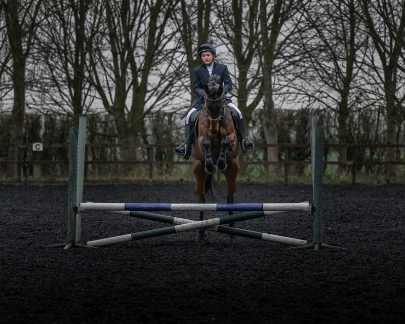A female equestrian jumping over a hurdle on a brown horse in an outdoor riding arena with leafless trees in the background.