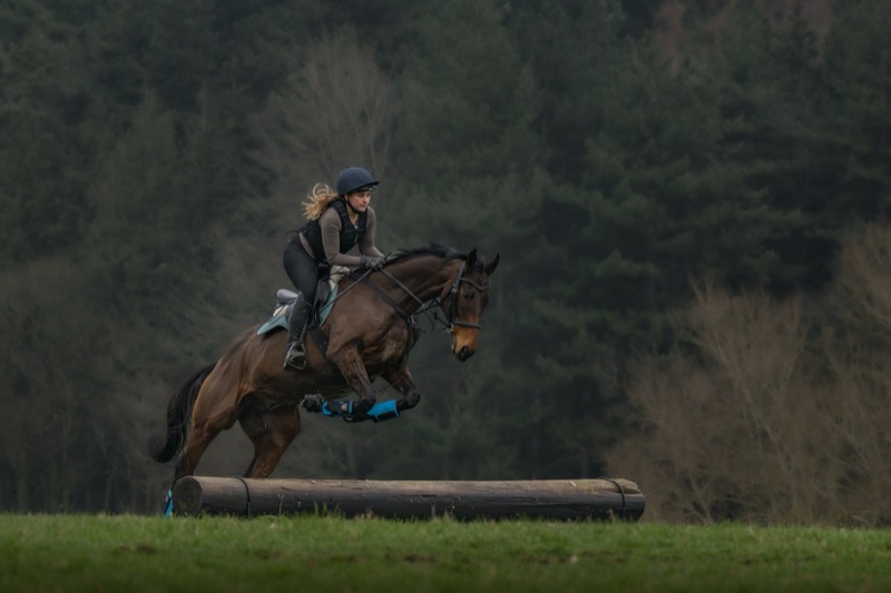 A woman in a helmet and riding gear riding a brown horse over a wooden obstacle during an equestrian event in an outdoor setting with forest in the background.