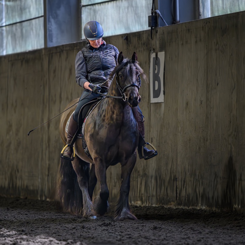 A woman wearing a helmet riding a brown horse inside an indoor riding arena with wooden walls and windows.