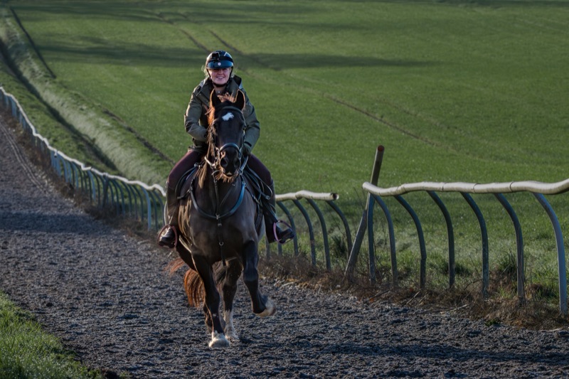 A woman riding a horse on a dirt track with green grassy fields and a blue railing in the background.