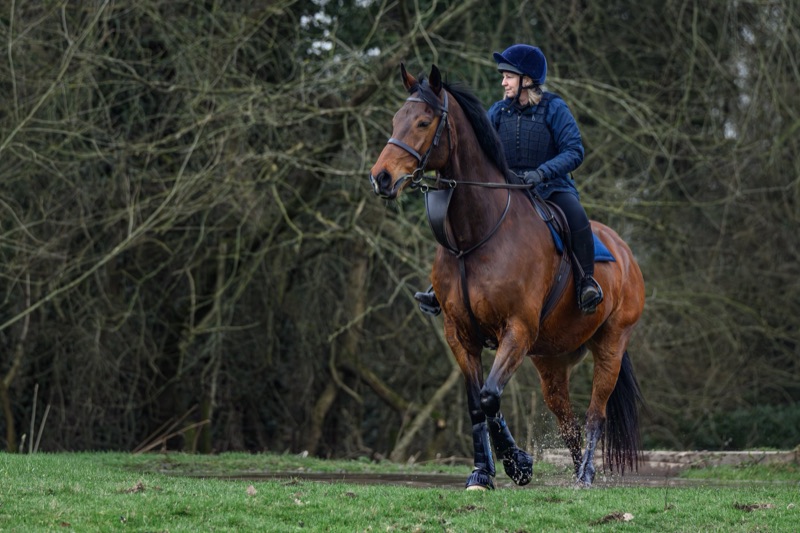 A person riding a brown horse through a shallow body of water in an outdoor setting with trees and bushes in the background.
