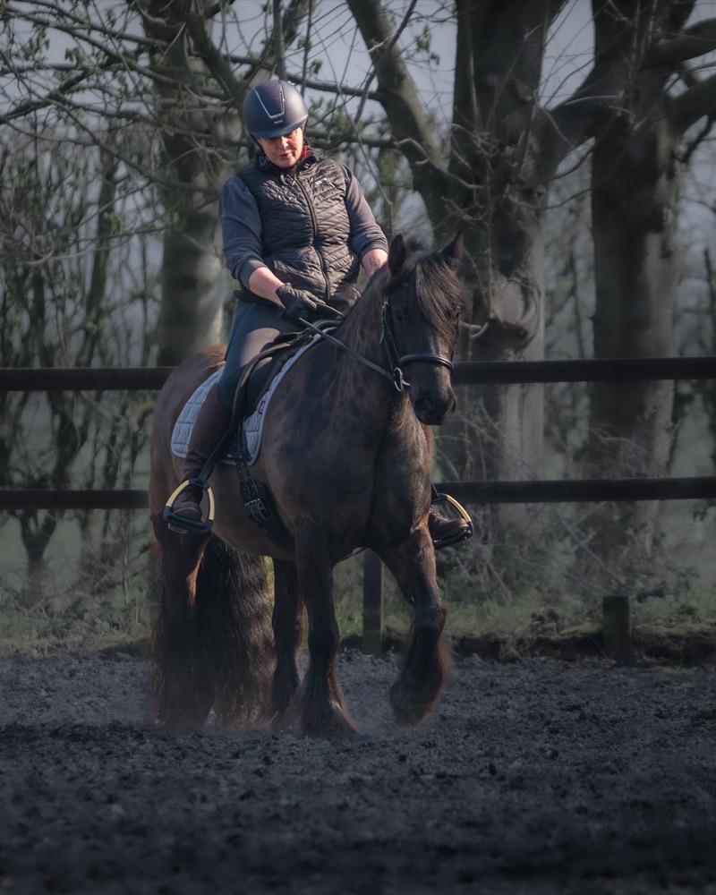 A person riding a horse in an outdoor arena with bare trees in the background, wearing a helmet, jacket, and gloves.