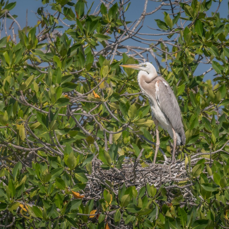 DSC_2289-001.jpg