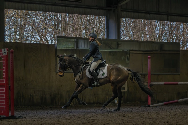 A woman riding a horse inside an indoor equestrian arena with wooden walls and large window openings showing trees outside.
