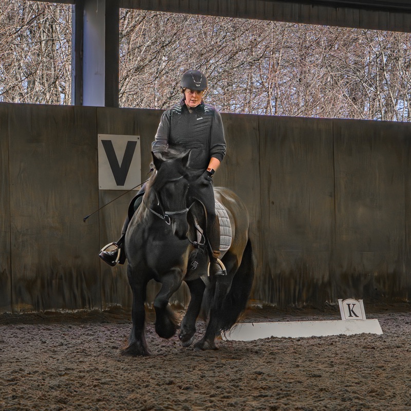 A person riding a horse in an indoor equestrian arena under a wooden overhang, wearing a helmet and riding attire, with trees visible outside.