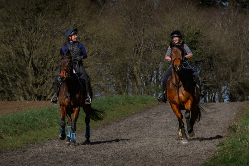 Two women riding horses on a trail through a wooded area during daytime.