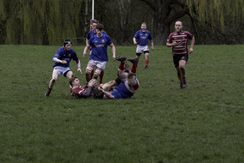 Rugby players in blue and maroon jerseys engaged in a tackle on a grassy field, with trees in the background.