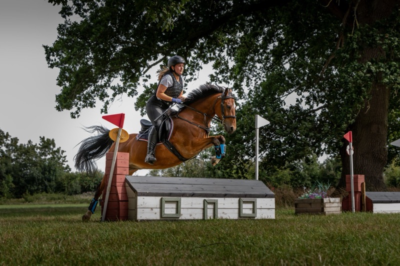 A female equestrian rider jumping over a wooden obstacle on a brown horse in an outdoor cross-country event, with trees and flags in the background.