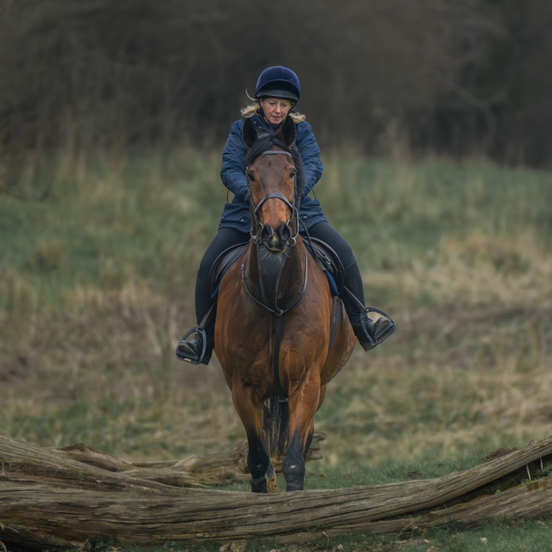 A woman riding a brown horse through a grassy field, wearing a navy helmet and jacket, with a large fallen tree in the foreground and a blurred backdrop of trees.